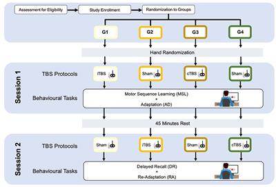 Experimental Protocol to Test Explicit Motor Learning–Cerebellar Theta Burst Stimulation